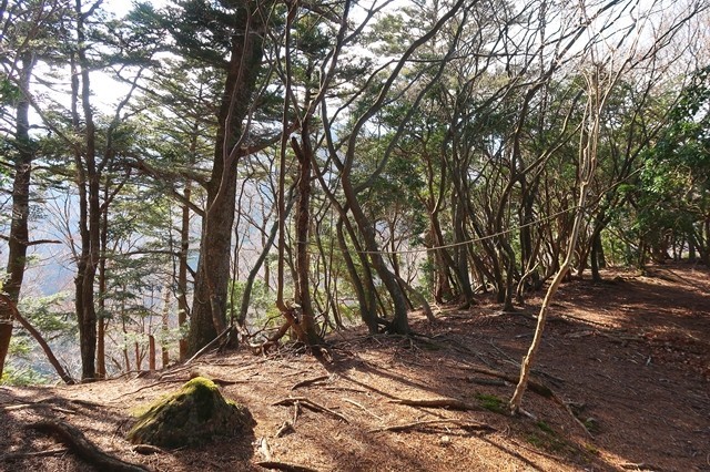 大山三峰山への登山ルート
