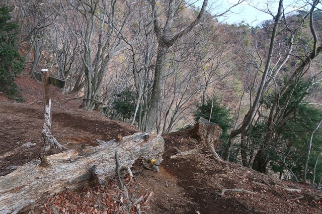不動尻からの一般登山道と合流