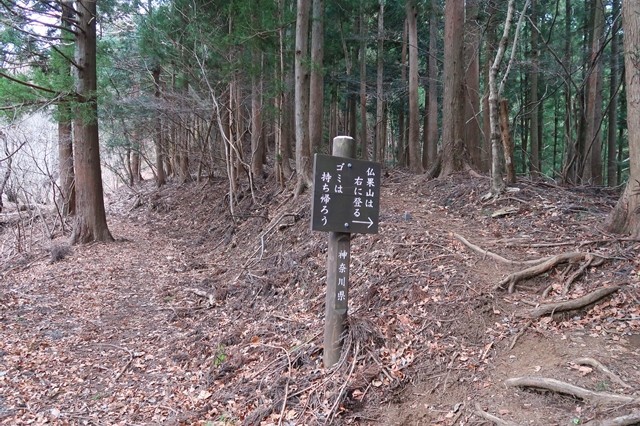 相州アルプス分岐地点