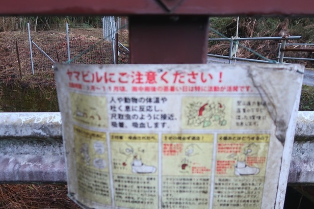 f:id:aohige0718:20200105093602j:plain