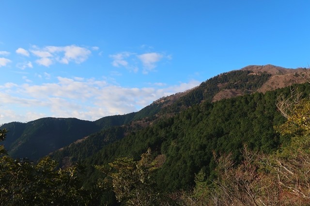 f:id:aohige0718:20200109221842j:plain 梅ノ木尾根から大山の景色遠望