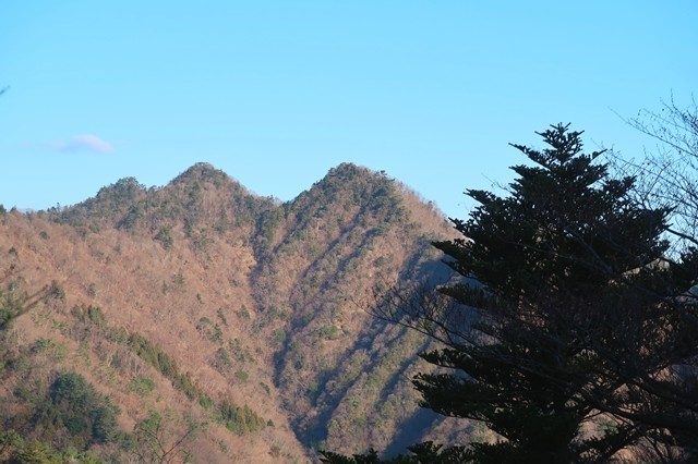 f:id:aohige0718:20200109222006j:plain 梅ノ木尾根から見る大山三峰遠望