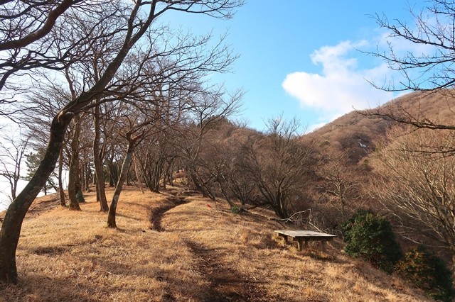 f:id:aohige0718:20200109222212j:plain 大山登山道