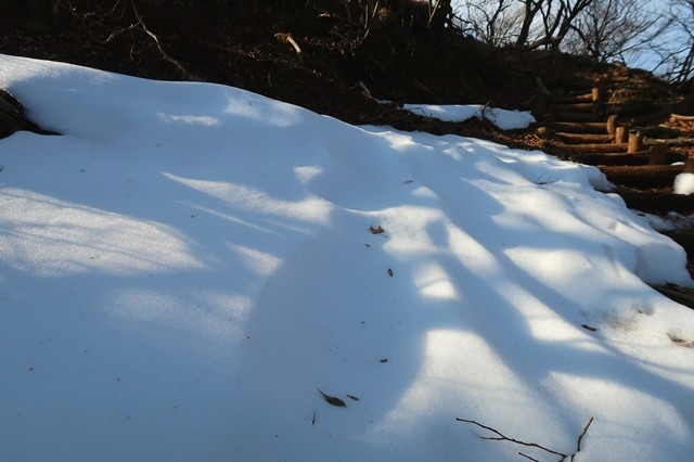 f:id:aohige0718:20200109222222j:plain 大山の登山道雪