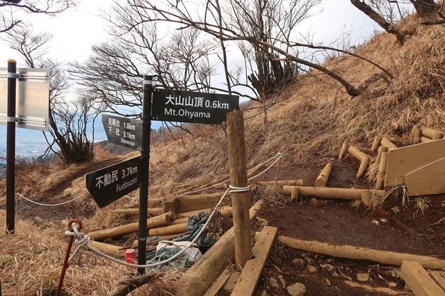f:id:aohige0718:20200109222241j:plain 大山の山頂分岐