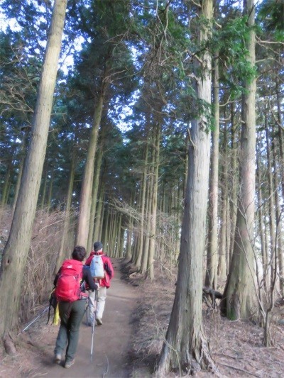 見晴台から日向薬師方面雷ノ峰尾根登山道