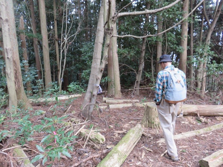 鐘ヶ岳の山頂から宝尾根を目指し