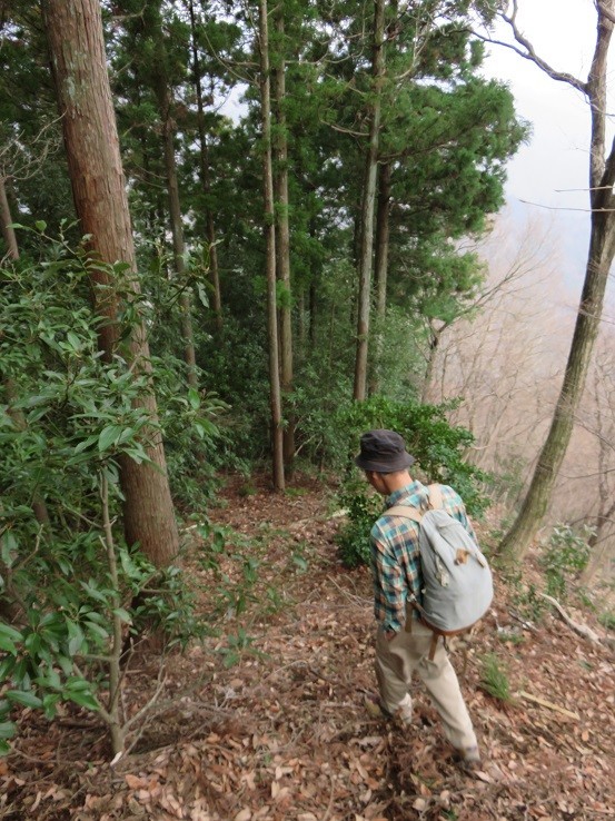 谷太郎川への下り道