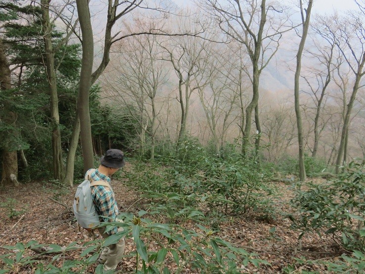 迷彩な感じに風景に溶け込んでいた登山者