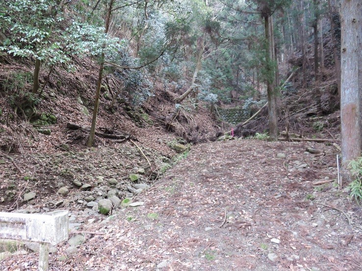 谷太郎川の林道鐘ヶ岳への登山道入口