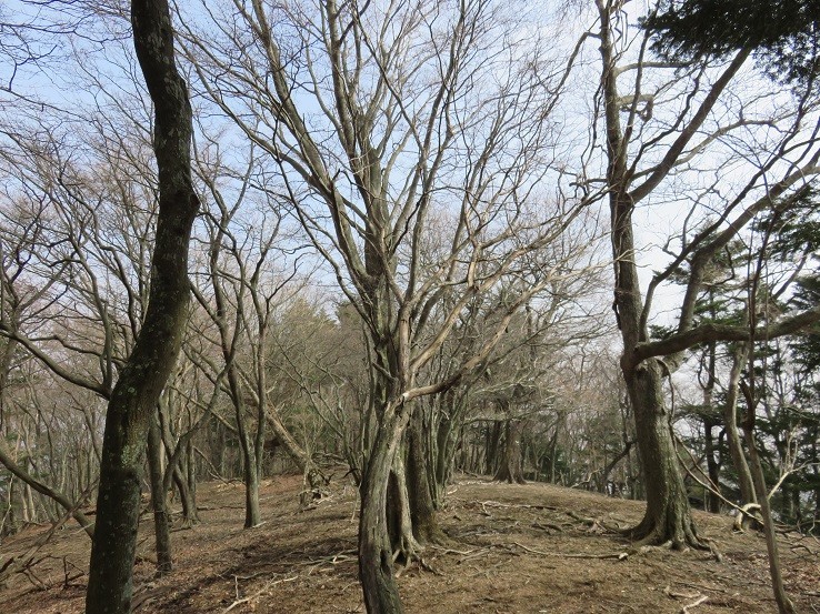 宝尾根静かな尾根