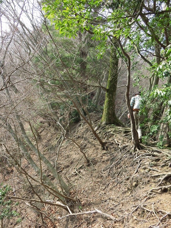 宝尾根から大山三峰山に近づく