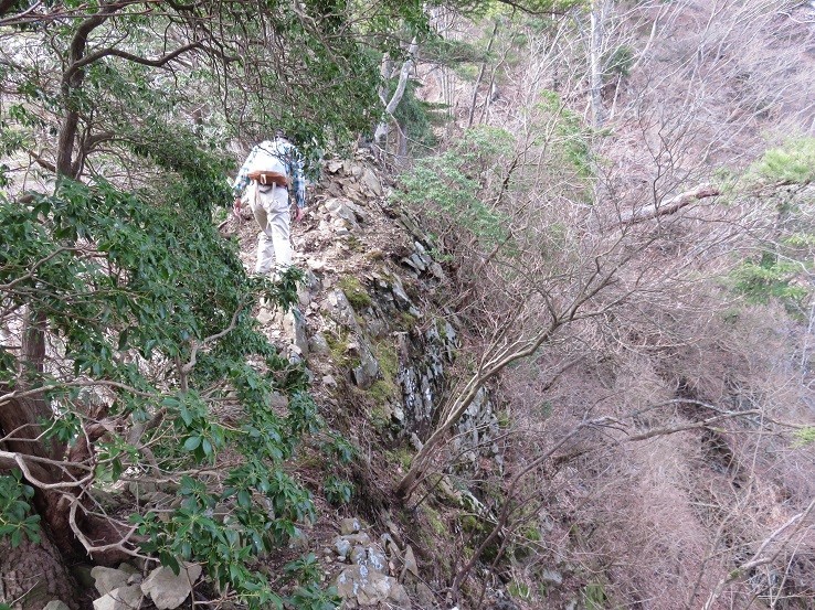 崖沿いに登山ルート歩いてる登山者