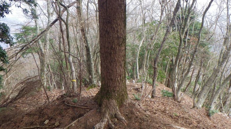 宝尾根の終了地点