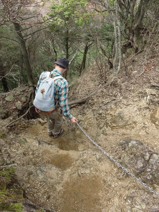 宝尾根から大山三峰山への縦走路