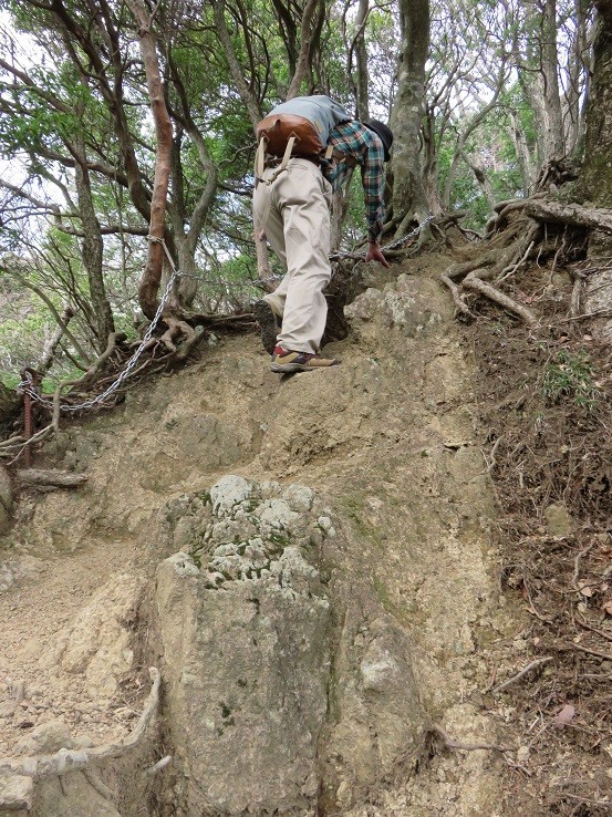 大山三峰山登山道の様子