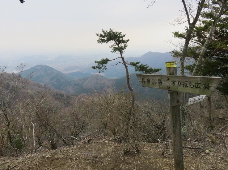 見晴らし広場・すりばち広場分岐地点