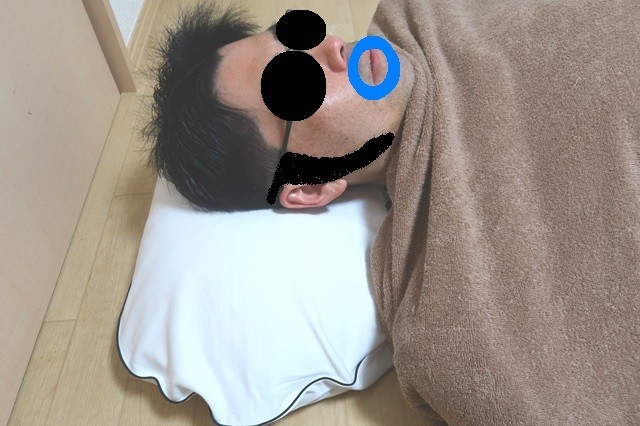 f:id:aohige0718:20200322121914j:plain 磁気枕肩こり、首凝りの改善を体験中