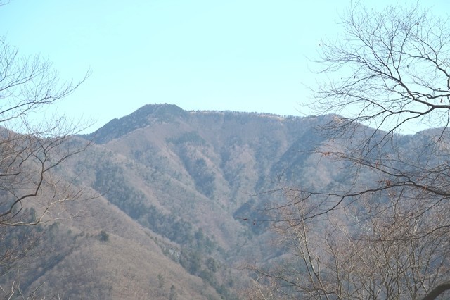 丹波天平から雲取山景色