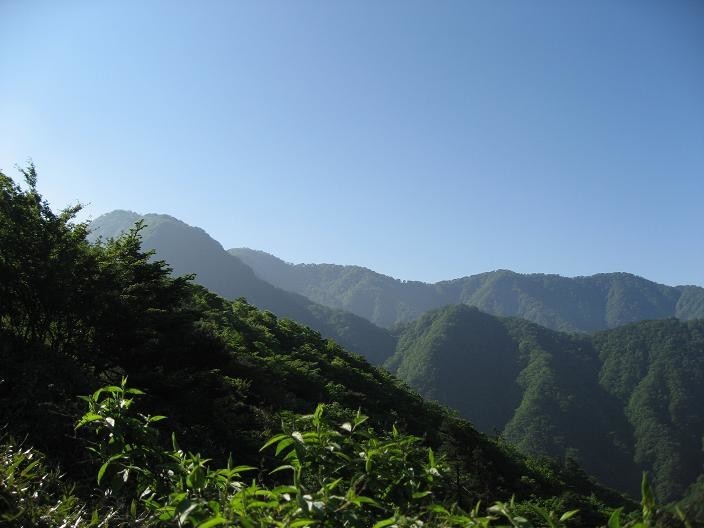 目指す檜洞丸方面の景色