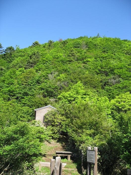 犬越路避難小屋建物様子