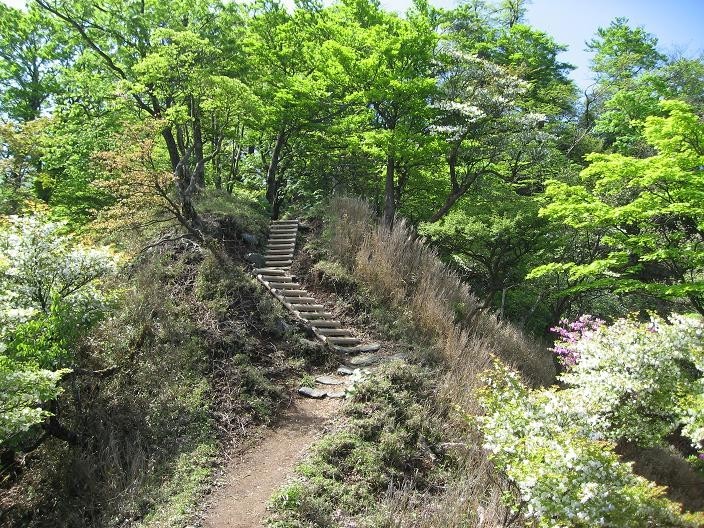 大笄山頂周辺の様子