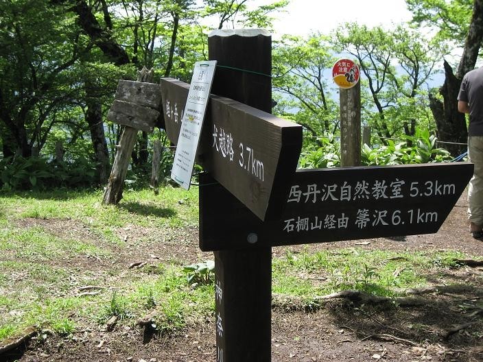 檜洞丸の山頂ツツジ新道・同角ノ頭へ向かう