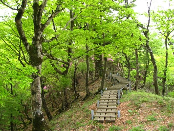 ツツジ新道分岐から同角ノ頭へのルート状況