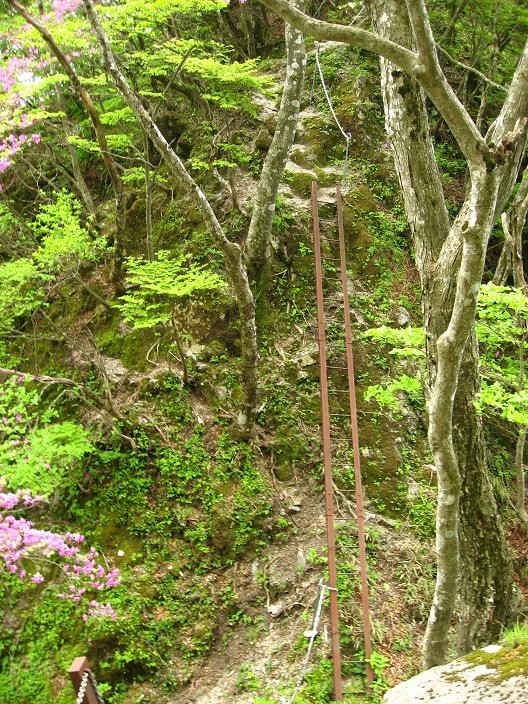 大石山登山道の梯子
