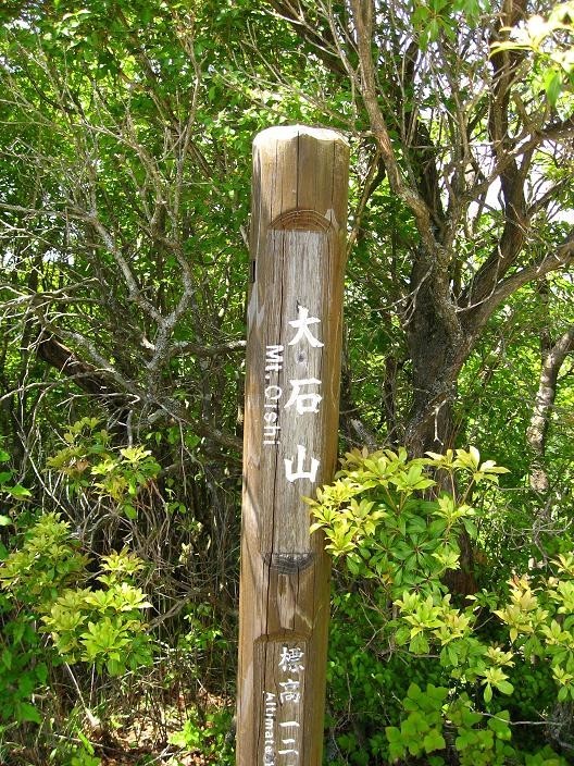 長い鎖場登ると丹沢大石山の山頂