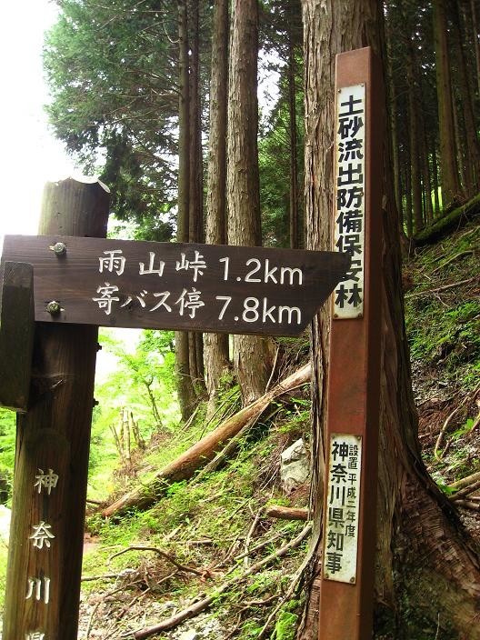 雨山峠入口鍋割山へ向かう登山道