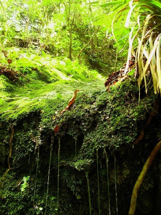 雨山峠のルート岩清水