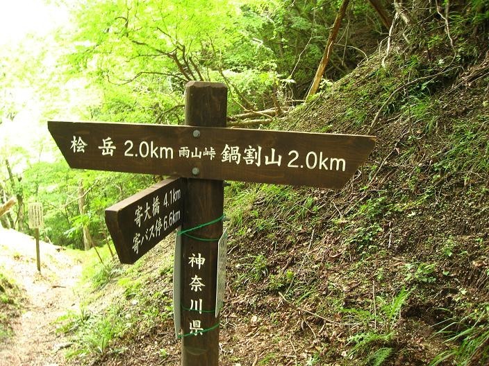 雨山峠分岐から鍋割山