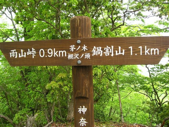 茅ノ木棚沢ノ頭山頂の様子