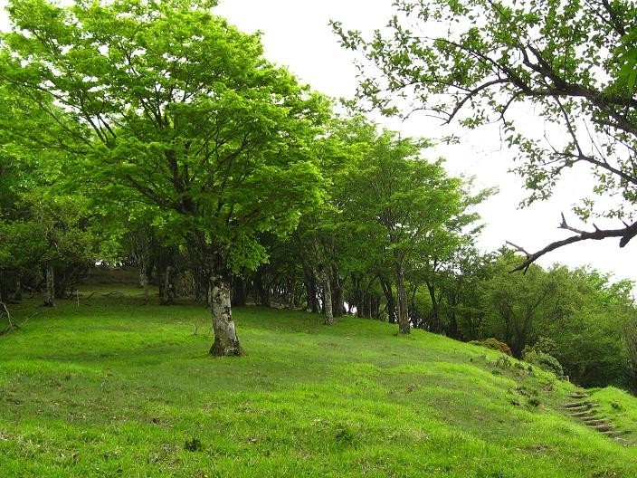 鍋割峠から鍋割山は急斜面