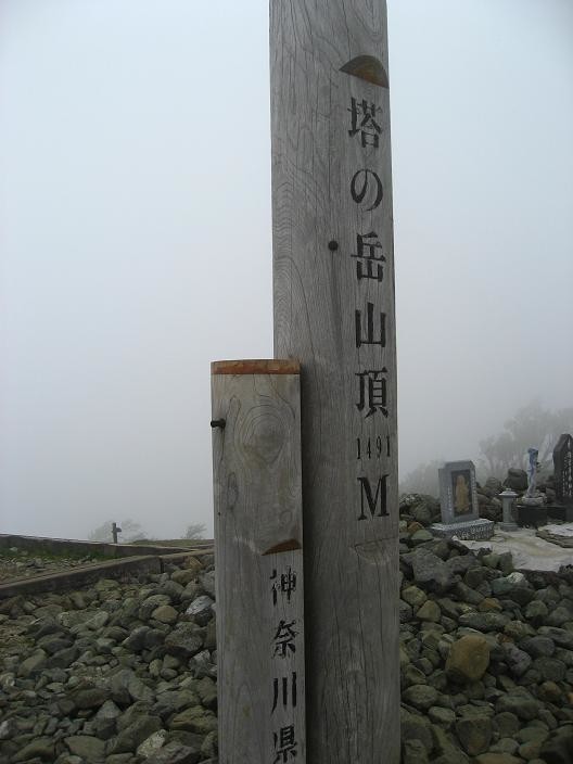 塔ノ岳山頂曇り空の景色