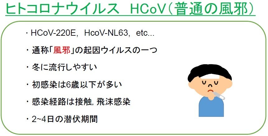 普通の風邪（旧型コロナウイルス）の潜伏期間・特徴の図