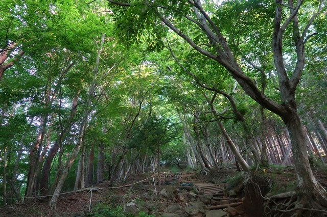 見晴茶屋から堀山の家まで急登なルート