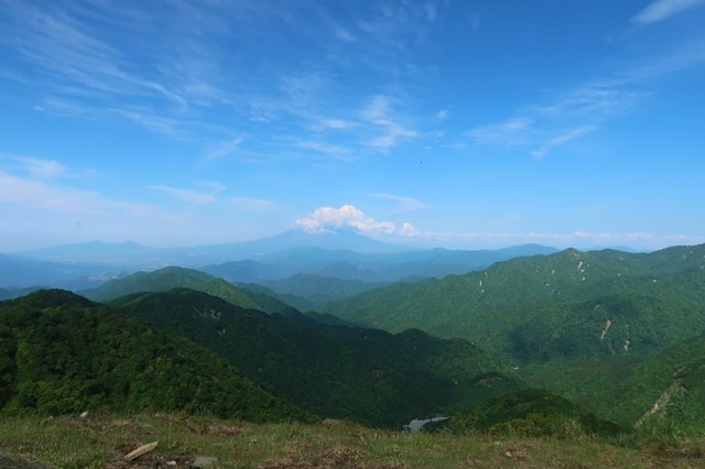 f:id:aohige0718:20200531164429j:plain>塔ノ岳から見る富士山景色