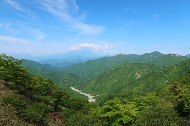 丹沢山登山道富士山が綺麗に見える場所