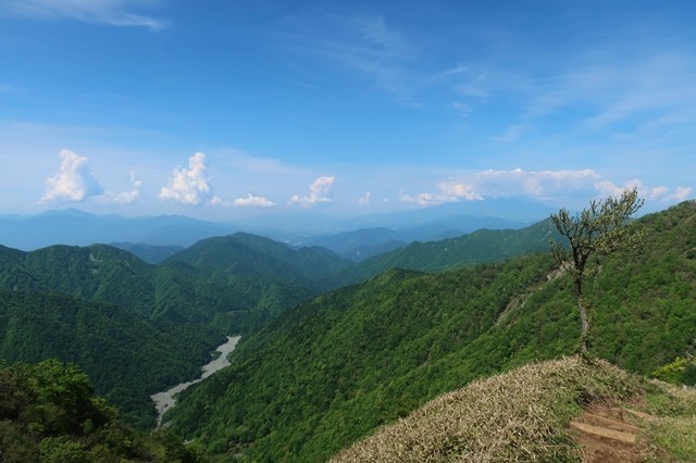 丹沢蛭ヶ岳山荘へのルートの詳細景色