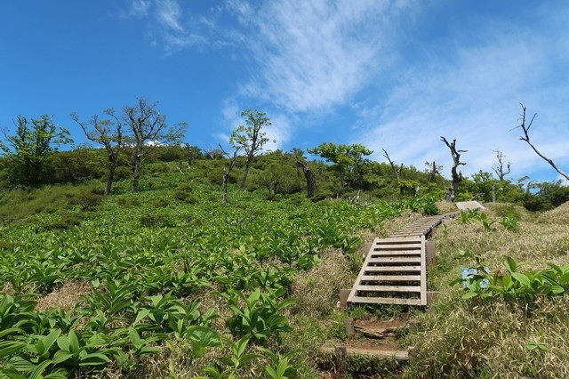 蛭ヶ岳山荘が目の前