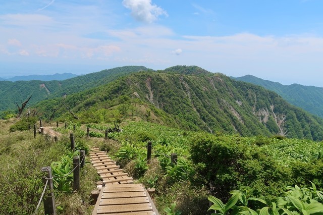 蛭ヶ岳山荘から雰囲気の良い道