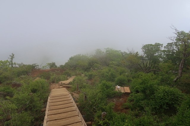 ガスガスな天気で下山