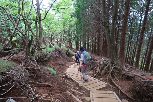 下山中の登山者