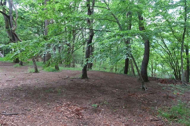 f:id:aohige0718:20200531170314j:plain