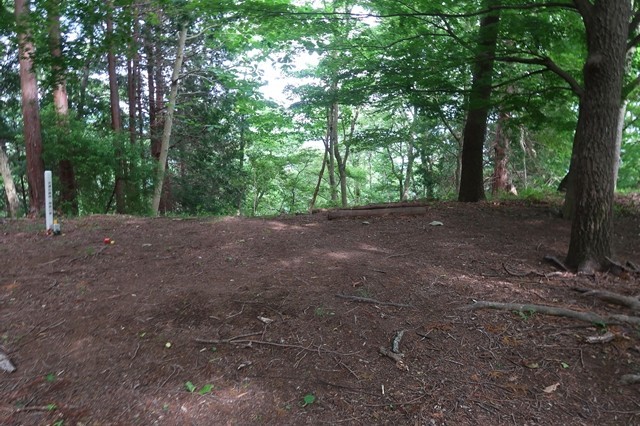 大倉高原山の家のキャンプ場キャンプサイト