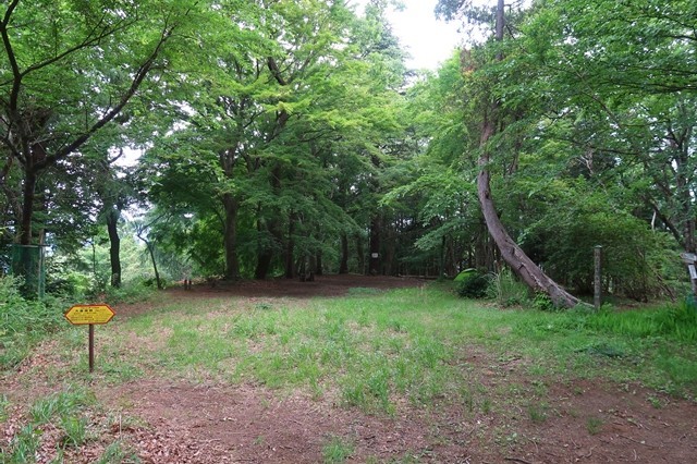 大倉高原山の家のキャンプ場１００張り以上テント張れる