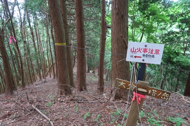大倉高原山の家キャンプ場大観望ルート