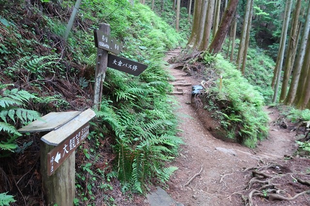 大倉高原山の家キャンプ場の分岐